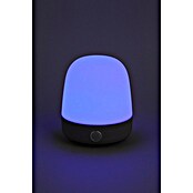 Starlux LED-Tischleuchte Serra (0,3 W, L x B x H: 10 x 10 x 12 cm, Light Grey, RGBW) | BAUHAUS