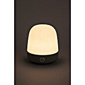 Starlux LED-Tischleuchte Serra (0,3 W, L x B x H: 10 x 10 x 12 cm, Light Grey, RGBW) | BAUHAUS