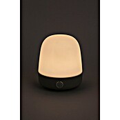 Starlux LED-Tischleuchte Serra (0,3 W, L x B x H: 10 x 10 x 12 cm, Light Grey, RGBW) | BAUHAUS
