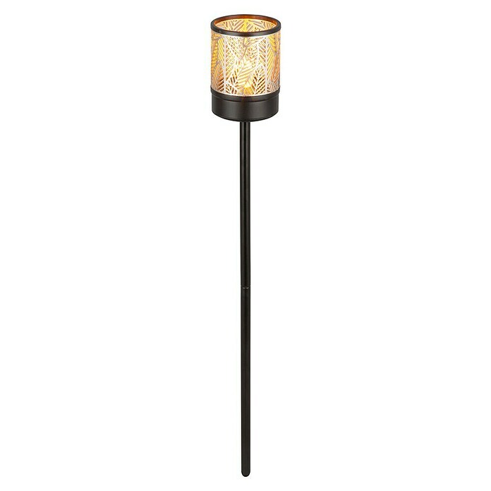 BAUHAUS Solarna svjetiljka sa šiljkom za zemlju Amber  (0,06 W, D x Š x V: 6,2 x 6,2 x 45 cm, Boja šampanjca, IP44, 0,5 lm) | BAUHAUS