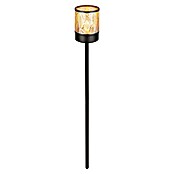 BAUHAUS Solarna svjetiljka sa šiljkom za zemlju Amber  (0,06 W, D x Š x V: 6,2 x 6,2 x 45 cm, Boja šampanjca, IP44, 0,5 lm) | BAUHAUS
