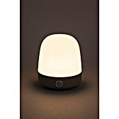 Starlux LED-Tischleuchte Serra (0,3 W, L x B x H: 10 x 10 x 12 cm, Light Grey, RGBW) | BAUHAUS