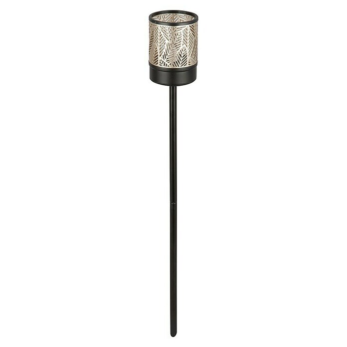 BAUHAUS Solarna svjetiljka sa šiljkom za zemlju Amber  (0,06 W, D x Š x V: 6,2 x 6,2 x 45 cm, Boja šampanjca, IP44, 0,5 lm) | BAUHAUS