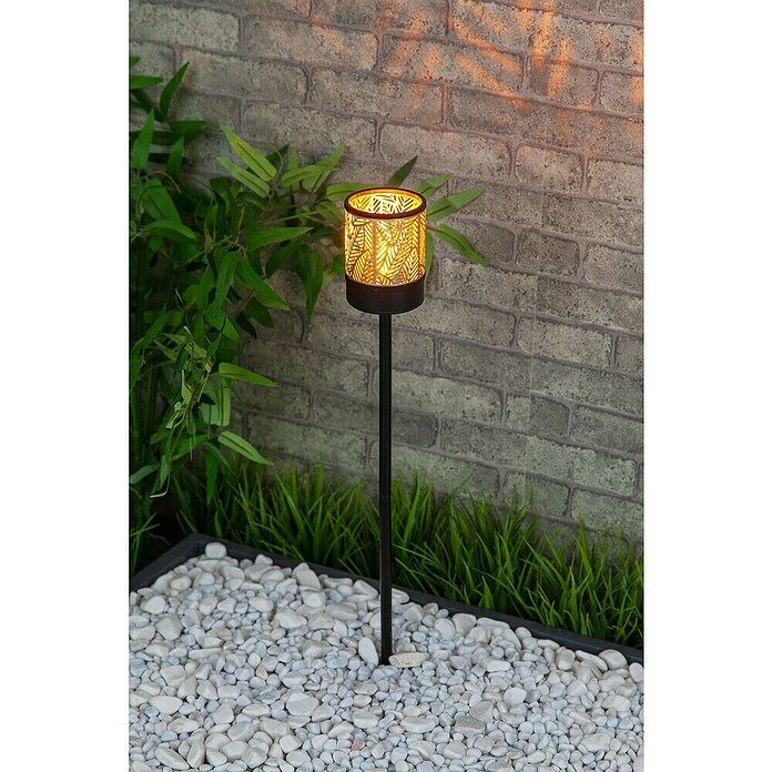 BAUHAUS Solarna svjetiljka sa šiljkom za zemlju Amber  (0,06 W, D x Š x V: 6,2 x 6,2 x 45 cm, Boja šampanjca, IP44, 0,5 lm) | BAUHAUS