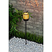 BAUHAUS Solarna svjetiljka sa šiljkom za zemlju Amber  (0,06 W, D x Š x V: 6,2 x 6,2 x 45 cm, Boja šampanjca, IP44, 0,5 lm) | BAUHAUS