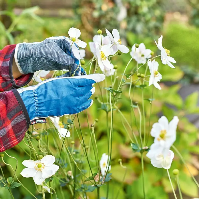 Gardol Gartenhandschuhe Pflege - 7, Blau - Nahaufnahme von Gartenhandschuhen bei der Arbeit mit weißen Blumen, die die Liebe zur Gartenarbeit mit zuverlässigen Handschuhen verbinden.