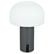 Starlux Akumulatorska namizna svetilka Pisa  (1 W, Do x Š x V: 22 x 15 x 15 cm, RGBW, Siva) | 3111 - Akkuleuchte dekorativ | CAJB - Outdoorleuchten Akku | CAJ - Outdoorleuchten | CA - Beleuchtung | C - Elektro | BAUHAUS
