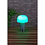 Starlux Akumulatorska namizna svetilka Pisa  (1 W, Do x Š x V: 22 x 15 x 15 cm, RGBW, Siva) | 3111 - Akkuleuchte dekorativ | CAJB - Outdoorleuchten Akku | CAJ - Outdoorleuchten | CA - Beleuchtung | C - Elektro | BAUHAUS