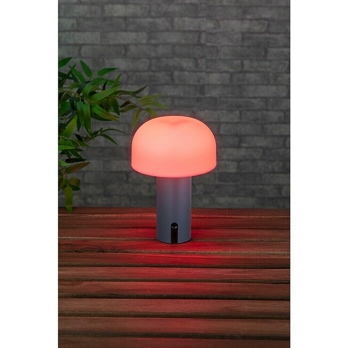 Starlux Akumulatorska namizna svetilka Pisa  (1 W, Do x Š x V: 22 x 15 x 15 cm, RGBW, Siva) | 3111 - Akkuleuchte dekorativ | CAJB - Outdoorleuchten Akku | CAJ - Outdoorleuchten | CA - Beleuchtung | C - Elektro | BAUHAUS