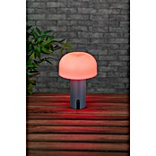 Starlux Akumulatorska namizna svetilka Pisa  (1 W, Do x Š x V: 22 x 15 x 15 cm, RGBW, Siva) | 3111 - Akkuleuchte dekorativ | CAJB - Outdoorleuchten Akku | CAJ - Outdoorleuchten | CA - Beleuchtung | C - Elektro | BAUHAUS