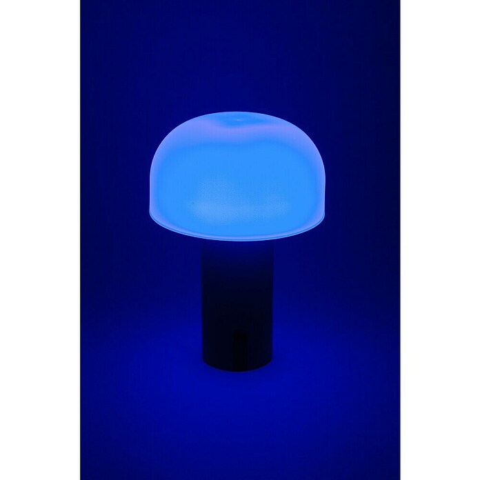 Starlux Akumulatorska namizna svetilka Pisa  (1 W, Do x Š x V: 22 x 15 x 15 cm, RGBW, Siva) | 3111 - Akkuleuchte dekorativ | CAJB - Outdoorleuchten Akku | CAJ - Outdoorleuchten | CA - Beleuchtung | C - Elektro | BAUHAUS
