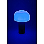Starlux Akumulatorska namizna svetilka Pisa  (1 W, Do x Š x V: 22 x 15 x 15 cm, RGBW, Siva) | 3111 - Akkuleuchte dekorativ | CAJB - Outdoorleuchten Akku | CAJ - Outdoorleuchten | CA - Beleuchtung | C - Elektro | BAUHAUS