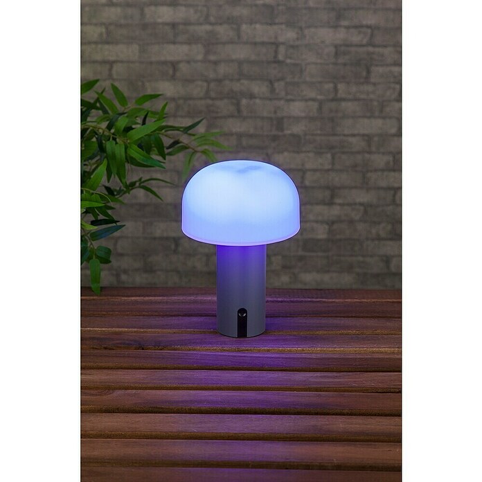 Starlux Akumulatorska namizna svetilka Pisa  (1 W, Do x Š x V: 22 x 15 x 15 cm, RGBW, Siva) | 3111 - Akkuleuchte dekorativ | CAJB - Outdoorleuchten Akku | CAJ - Outdoorleuchten | CA - Beleuchtung | C - Elektro | BAUHAUS