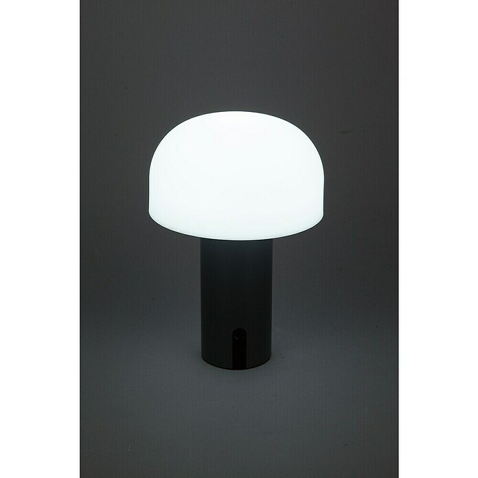 Starlux Akumulatorska namizna svetilka Pisa  (1 W, Do x Š x V: 22 x 15 x 15 cm, RGBW, Siva) | 3111 - Akkuleuchte dekorativ | CAJB - Outdoorleuchten Akku | CAJ - Outdoorleuchten | CA - Beleuchtung | C - Elektro | BAUHAUS