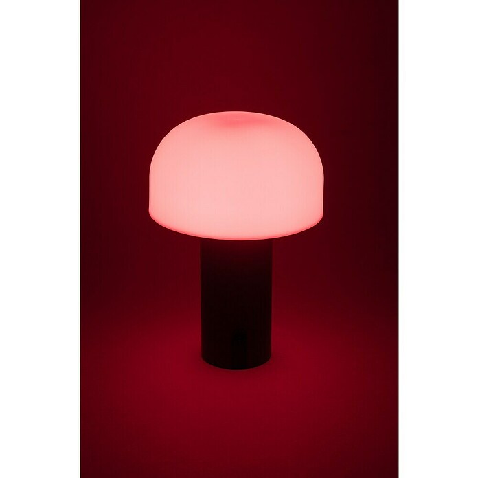 Starlux Akumulatorska namizna svetilka Pisa  (1 W, Do x Š x V: 22 x 15 x 15 cm, RGBW, Siva) | 3111 - Akkuleuchte dekorativ | CAJB - Outdoorleuchten Akku | CAJ - Outdoorleuchten | CA - Beleuchtung | C - Elektro | BAUHAUS