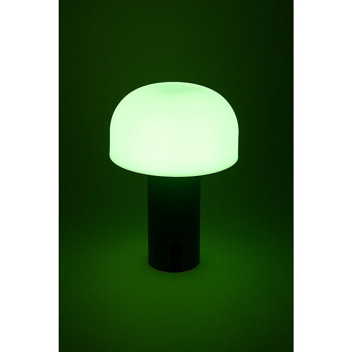 Starlux Akumulatorska namizna svetilka Pisa  (1 W, Do x Š x V: 22 x 15 x 15 cm, RGBW, Siva) | 3111 - Akkuleuchte dekorativ | CAJB - Outdoorleuchten Akku | CAJ - Outdoorleuchten | CA - Beleuchtung | C - Elektro | BAUHAUS