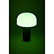 Starlux Akumulatorska namizna svetilka Pisa  (1 W, Do x Š x V: 22 x 15 x 15 cm, RGBW, Siva) | 3111 - Akkuleuchte dekorativ | CAJB - Outdoorleuchten Akku | CAJ - Outdoorleuchten | CA - Beleuchtung | C - Elektro | BAUHAUS