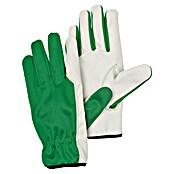 Gardol Gartenhandschuhe Pflege (Konfektionsgröße: 9, Grün)