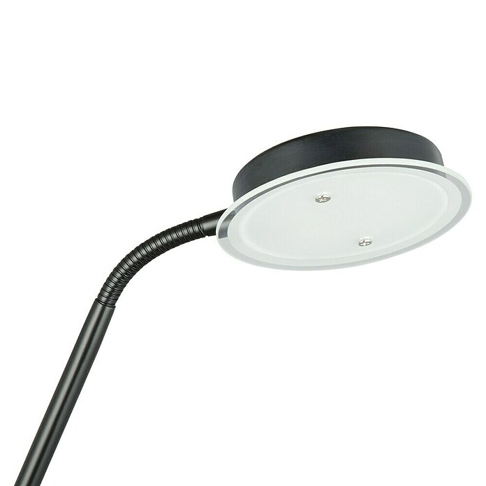 Tween Light Lámpara de suelo LED Alaska (23,5 W, Altura: 1,8 m, Negro, Blanco cálido) | BAUHAUS