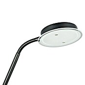 Tween Light Lámpara de suelo LED Alaska (23,5 W, Altura: 1,8 m, Negro, Blanco cálido) | BAUHAUS