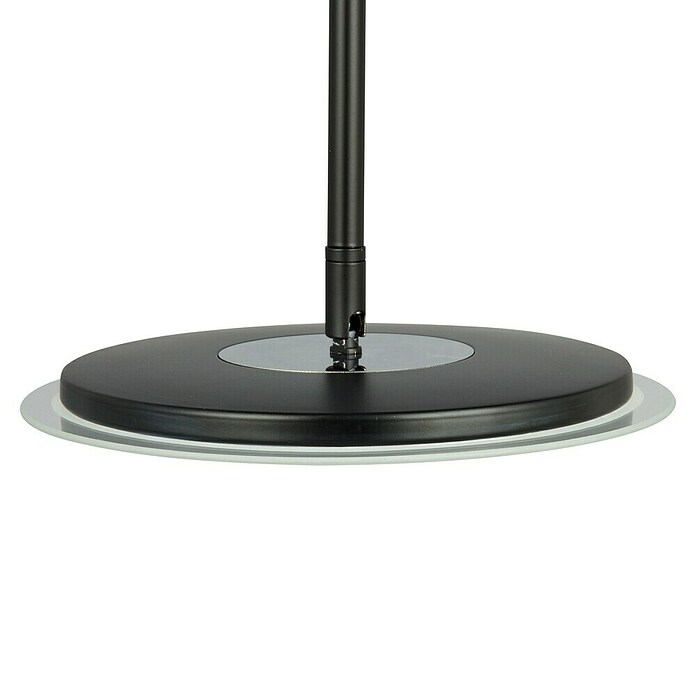 Tween Light Lámpara de suelo LED Alaska (23,5 W, Altura: 1,8 m, Negro, Blanco cálido) | BAUHAUS