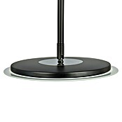 Tween Light Lámpara de suelo LED Alaska (23,5 W, Altura: 1,8 m, Negro, Blanco cálido) | BAUHAUS