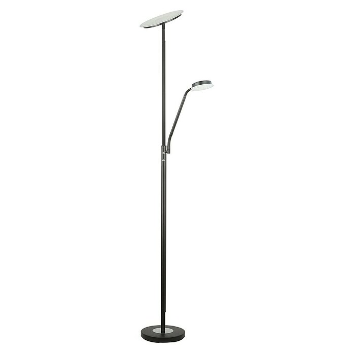 Tween Light Lámpara de suelo LED Alaska (23,5 W, Altura: 1,8 m, Negro, Blanco cálido) | BAUHAUS