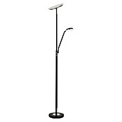 Tween Light Lámpara de suelo LED Alaska (23,5 W, Altura: 1,8 m, Negro, Blanco cálido) | BAUHAUS
