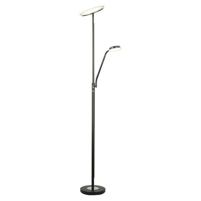 Tween Light Lámpara de suelo LED Alaska (23,5 W, Altura: 1,8 m, Negro, Blanco cálido) | BAUHAUS