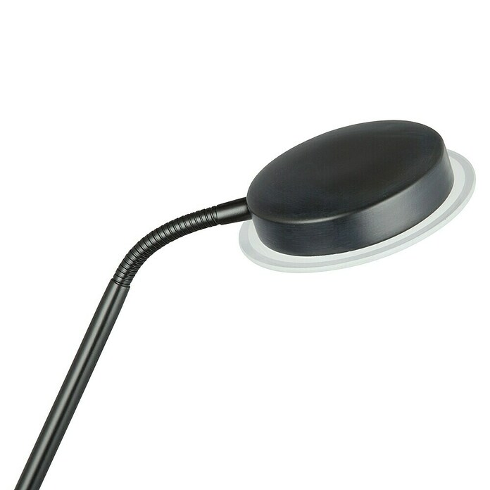 Tween Light Lámpara de suelo LED Alaska (23,5 W, Altura: 1,8 m, Negro, Blanco cálido) | BAUHAUS