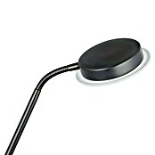 Tween Light Lámpara de suelo LED Alaska (23,5 W, Altura: 1,8 m, Negro, Blanco cálido) | BAUHAUS