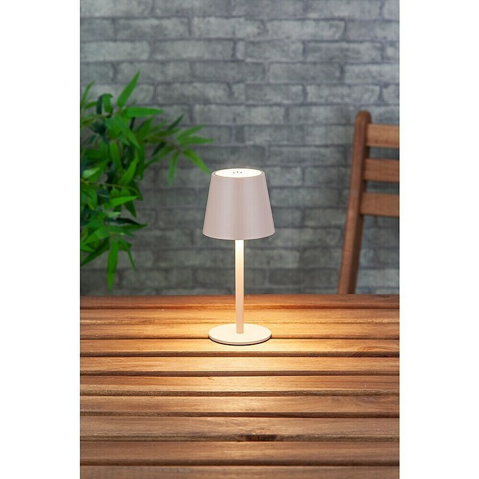 Starlux Paola Accu-tafellamp Paola Mini (3 st., 1,6 W, l x b x h: 8,6 x 8,6 x 27 cm, Zand, Warm wit) | BAUHAUS