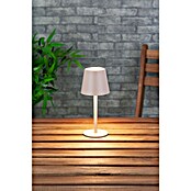 Starlux Paola Accu-tafellamp Paola Mini (3 st., 1,6 W, l x b x h: 8,6 x 8,6 x 27 cm, Zand, Warm wit) | BAUHAUS
