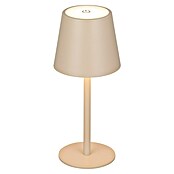 Starlux Paola Accu-tafellamp Paola Mini (3 st., 1,6 W, l x b x h: 8,6 x 8,6 x 27 cm, Zand, Warm wit) | BAUHAUS