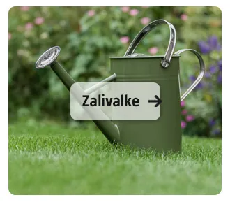 Zalivalke