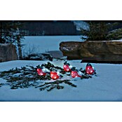 Konstsmide LED-Lichterkette Rotkehlchen (Außen, 40-flammig, Kabellänge: 4 m, Kaltweiß)