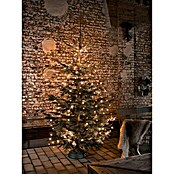 Konstsmide LED-Lichterkette Baummantel mit Ring (Außen, 240-flammig, Länge: 12,4 m, Schwarz)