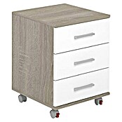 Meka Block Cajonera con ruedas K-906 (L x An x Al: 44 x 45,5 x 58 cm, Roble Cortez/Blanco, Número de cajones: 3 ud.) | BAUHAUS