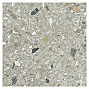 Cersanit Porculanska pločica Brand Rock  (59,8 x 59,8 cm, Siva, Mat) | BAUHAUS