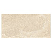 Cersanit Talne ploščice Belize Beige  (Bež, Do x Š: 30 x 60 cm) | 4240 - Natursteinoptik | EAFA - Bodenfliesen | EAF - Fliesen | EA - Fliesen | E - Fliesen | BAUHAUS