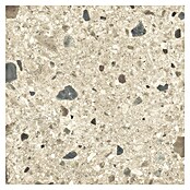 Cersanit Podna pločica Brand Rock  (D x Š: 60 x 60 cm, Bež) | BAUHAUS