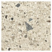 Cersanit Granitogresne ploščice Brand Rock  (59,8 x 59,8 cm, Krem, Mat) | 4258 - Terrazzooptik | EAFA - Bodenfliesen | EAF - Fliesen | EA - Fliesen | E - Fliesen | BAUHAUS