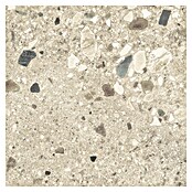 Cersanit Podna pločica Brand Rock  (D x Š: 60 x 60 cm, Bež) | BAUHAUS