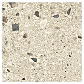 Cersanit Podna pločica Brand Rock  (D x Š: 60 x 60 cm, Bež) | BAUHAUS