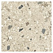 Cersanit Podna pločica Brand Rock  (D x Š: 60 x 60 cm, Bež) | BAUHAUS