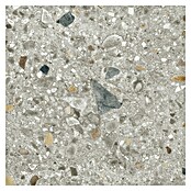 Cersanit Granitogresne ploščice Brand Rock  (59,8 x 59,8 cm, Svetlo siva, Mat) | 4258 - Terrazzooptik | EAFA - Bodenfliesen | EAF - Fliesen | EA - Fliesen | E - Fliesen | BAUHAUS