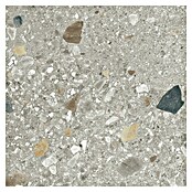 Cersanit Porculanska pločica Brand Rock  (59,8 x 59,8 cm, Siva, Mat) | BAUHAUS
