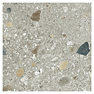 Cersanit Talne ploščice Brand Rock (Do x Š: 60 x 60 cm, Siva)