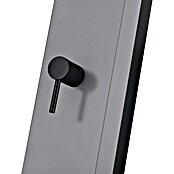 Imex Poolimex Ducha de piscina Phoenix (222 cm, Aluminio, Gris cobalto) | BAUHAUS