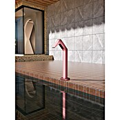 Imex Poolimex Cascada de agua Niagara (L x An x Al: 5,5 x 6 x 68 cm, Acero inoxidable, Rosa coral) | BAUHAUS